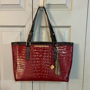 This is Brahmin's Anywhere tote  RUBY RED & COCOA BROWN Leather Bag/w TASSEL